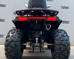 ATV TELSTAR TS-250 ARMOUR с лебедка и всички екстри Нов модел 2025 снимка 187