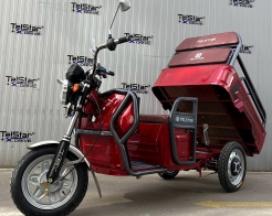 CARGO Транспортер T-500 60V 35Ah, товароносимост 500 кг снимка 109