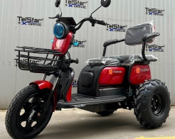 ATV Offroad ДЕЗЪРТ триместна електрическа триколка TS 350-7-NEW 2500W 25Ah снимка 213
