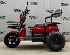 ATV Offroad ДЕЗЪРТ триместна електрическа триколка TS 350-7-NEW 2500W 25Ah снимка 213