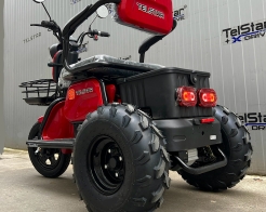 ATV Offroad ДЕЗЪРТ триместна електрическа триколка TS 350-7-NEW 2500W 25Ah снимка 213